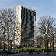 Brusilia, Brussels