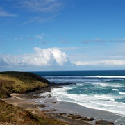 Tasman Sea