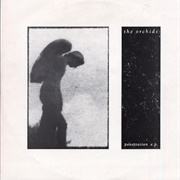 The Orchids-Penetration