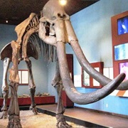 Regional Museum of Guadalajara