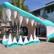 Gatorland