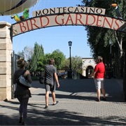 Monte Casino Bird Park