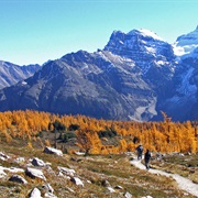 Larch Valley, Alberta
