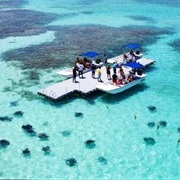 Stingray City, Antigua
