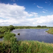 Dearne Valley - Old Moor