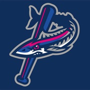 Pensacola Blue Wahoos (AA)