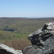 Michaux State Forest, Pennsylvania