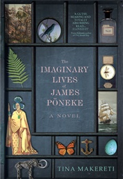 The Imaginary Lives of James Pōneke (Tina Makereti)