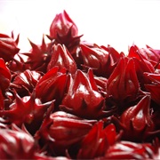Roselle
