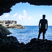 Animal Flower Cave, Barbados