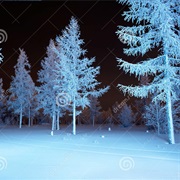 Go on an Endurance Walk in Arctic Conditions