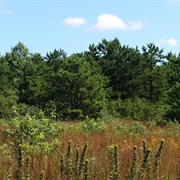 Sayville National Wildlife Refuge