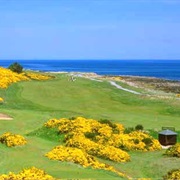 Royal Dornoch