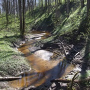 Korkuļi (Dry River-Bed) Korkuļu Sausgultne