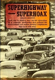 Superhighway -- Super Hoax (Helen Leavitt)