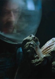 The Eggs, Alien (1979)