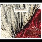 Sex on Fire - Kings of Leon