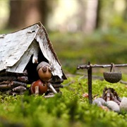 Create a Forest Gnome World