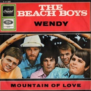 Wendy, the Beach Boys
