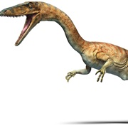 Coelophysis