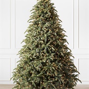O Tannenbaum