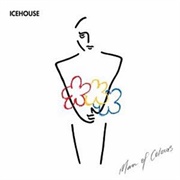 Man of Colours - Icehouse