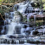 Brisbane Water National Park (NSW)