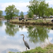 St. Vrain State Park, Colorado