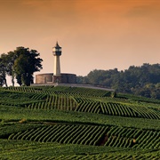 Phare & Musée De Verzenay