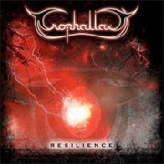 Trophallaxy - Resilience