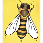 Four Corners Local Buzz