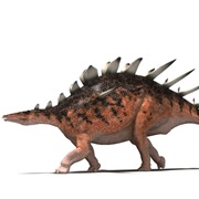 Kentrosaurus