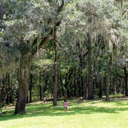 Shepard State Park, Mississippi