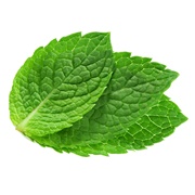 Mint Leaf