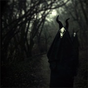 White Ward - Futility Report