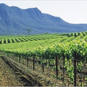 Drinking Wine in the Hunter Valley Oz