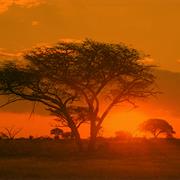 Matobo National Park, Zimbabwe