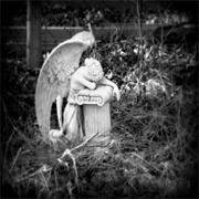 Warrior - Beth Crowley