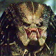 The Predator