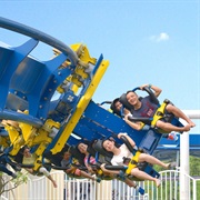 Family Inverted Coaster (Happy Valley, China)