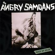 Angry Samoans : Inside My Brain