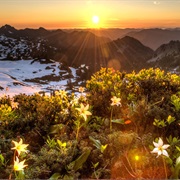 Olympic Perninsula Loop, Washington
