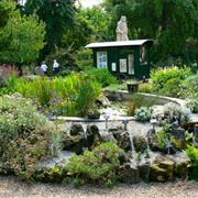 Chelsea Physic Garden