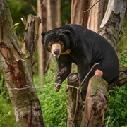 Chester Zoo, United Kingdom
