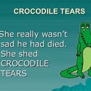 To Shed Crocodile Tears