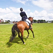 Go Horse Riding by Myself