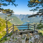 Tara National Park, Serbia