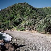 Fantail Bay - Coromandel