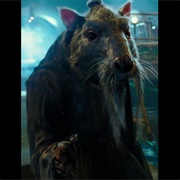 Splinter