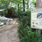 Cretaceous Trail